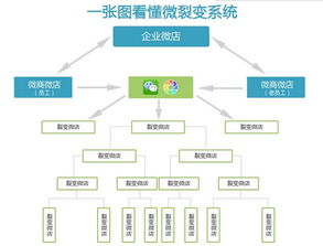 廈門微信商城分銷系統代理加盟